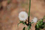 April 2007 Ranch Photos : 