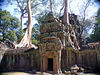 Angkor Wat, Cambodia 2006 : This was the after-trip from our E4E project this year.  Tim, Teddi and I had 4 days of extra time in Cambodia.  We were joined in Siem Reap by Steve and Mitch and by Anne and Jacques.  It was an unforgettable experience.