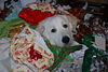 12-06 Christmas : 