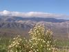 January 05 Arizona : 