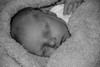 Hutson's Life:  Day 3 (Coming Home) : 